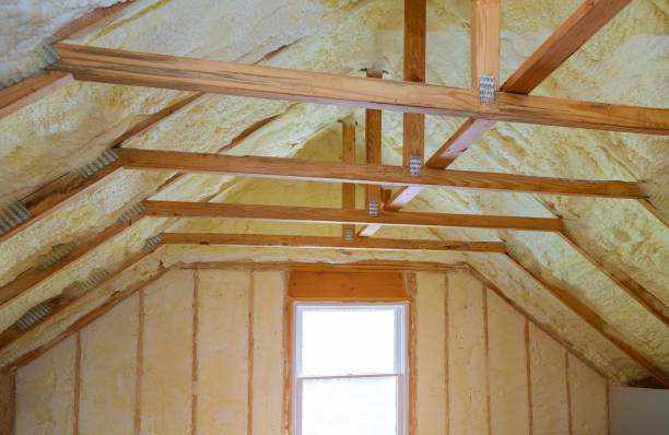 Best Eco-Friendly Insulation in Rockwood, TN