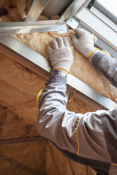 Best Energy Efficiency Insulation in Rockwood, TN