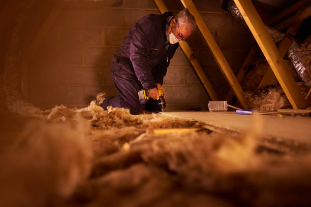 Best Geographic-Specific Insulation Services in Rockwood, TN